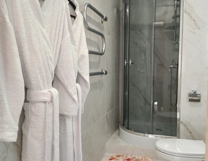 Люкс 2-местный 2-комнатный корпус 2 - Санаторий «Буг»